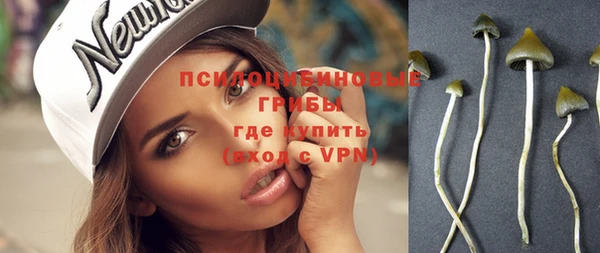 прущая мука Кулебаки