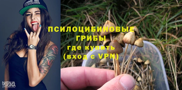 прущая мука Кулебаки